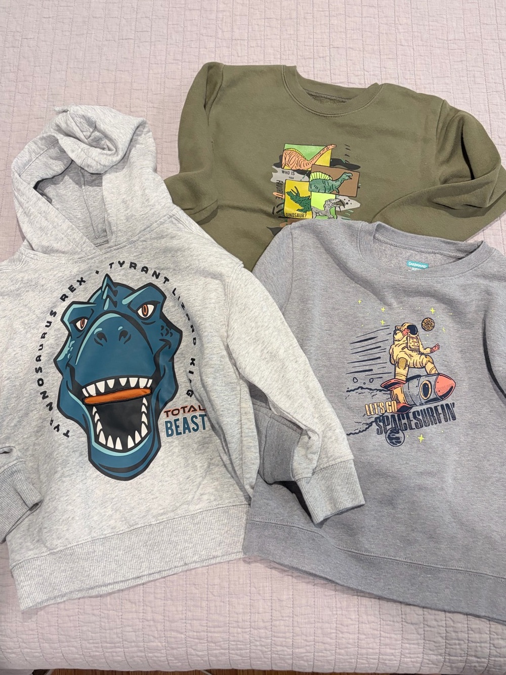Garanimals Boys 5T Sweatshirt Bundle (3 Piece)